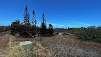 30 Kaiaka Rd 82 Maunaloa, Hi vacant land for sale - photo 5 of 8