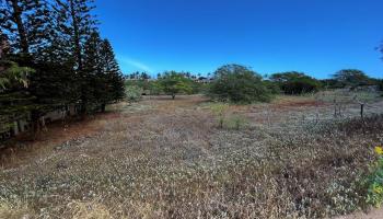30 Kaiaka Rd 82 Maunaloa, Hi vacant land for sale - photo 6 of 8
