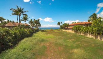 30 KAI ALA Dr Lahaina, Hi 96761 vacant land - photo 5 of 19