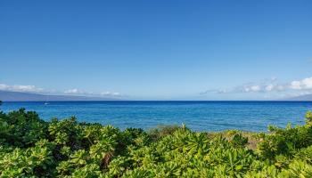 30 Kai Ala Dr  Lahaina, Hi vacant land for sale - photo 4 of 9