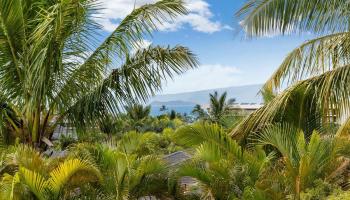 30  Laukahi St , Kihei home - photo 4 of 45