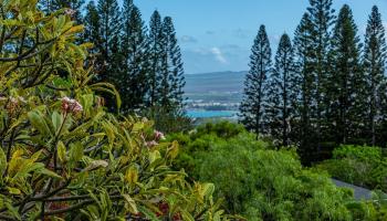 30  Maunalei Pl Wailuku Country Estates, Wailuku home - photo 2 of 31