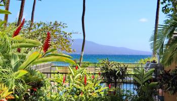 Makani A Kai condo # A1, Wailuku, Hawaii - photo 1 of 41