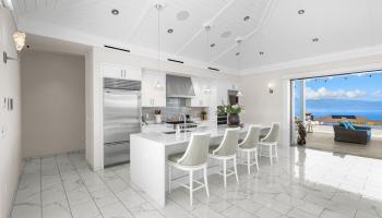 300  Mahana Ridge St Kapalua, Kapalua home - photo 6 of 50