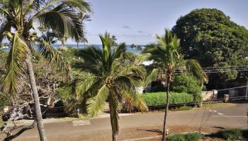 301 Paani Pl Unit D Paia, Hi vacant land for sale - photo 6 of 21