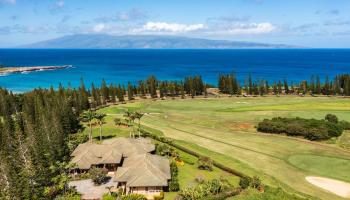301 PLANTATION ESTATES Dr Kapalua, Kapalua home - photo 5 of 25