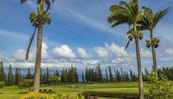 301 Plantation Estates Dr  Lahaina, Hi vacant land for sale - photo 1 of 17