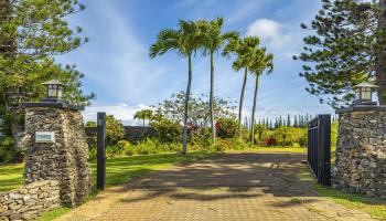 301 Plantation Estates Dr  Lahaina, Hi vacant land for sale - photo 2 of 17