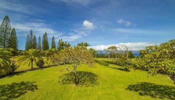 301 Plantation Estates Dr  Lahaina, Hi vacant land for sale - photo 4 of 17