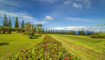 301 Plantation Estates Dr  Lahaina, Hi vacant land for sale - photo 5 of 17