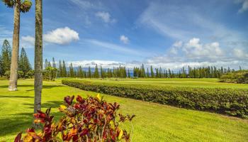 301 Plantation Estates Dr  Lahaina, Hi vacant land for sale - photo 6 of 17