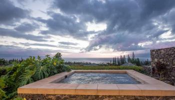 302  Cook Pine Dr Pineapple Hill, Kapalua home - photo 5 of 30