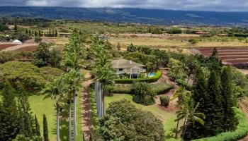 3051  Omaopio Rd , Kula/Ulupalakua/Kanaio home - photo 2 of 50