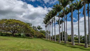 3051  Omaopio Rd , Kula/Ulupalakua/Kanaio home - photo 3 of 50