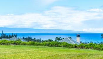308 Cook Pine Dr 74 Lahaina, Hi vacant land for sale - photo 6 of 9