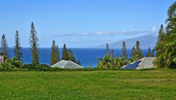 308 Cook Pine Dr  Lahaina, Hi vacant land for sale - photo 3 of 6