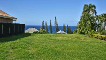 308 Cook Pine Dr  Lahaina, Hi vacant land for sale - photo 4 of 6