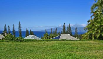 308 Cook Pine Dr  Lahaina, Hi vacant land for sale - photo 2 of 6