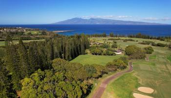 309 Plantation Estates Dr  Lahaina, Hi vacant land for sale - photo 5 of 36