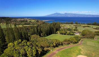 309 Plantation Estates Dr  Lahaina, Hi vacant land for sale - photo 6 of 36