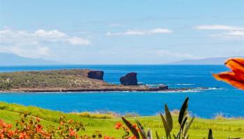 Palms at Manele I condo # 2B, Lanai City, Hawaii - photo 2 of 30