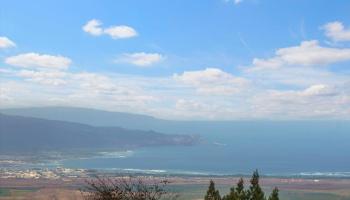 31  Hapapa Rd Upper Kula, Kula/Ulupalakua/Kanaio home - photo 2 of 50