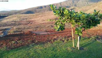 31 Iliahi Way #A Lahaina, Hi 96761 vacant land - photo 1 of 23 31 Iliahi Way #A Lahaina, Hi 96761 vacant land - photo 1 of 23