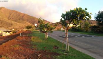 31 Iliahi Way #A Lahaina, Hi 96761 vacant land - photo 2 of 23 31 Iliahi Way #A Lahaina, Hi 96761 vacant land - photo 2 of 23