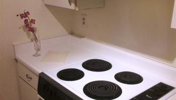 Iao Parkside I condo # 5-101, Wailuku, Hawaii - photo 5 of 19