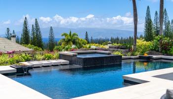 310 Cook Pine Dr Kapalua, Kapalua home - photo 5 of 50