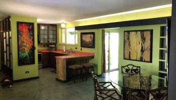 310  Front St Shark Pit, Lahaina home - photo 3 of 22