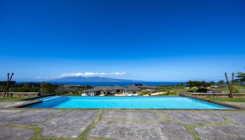 310  Mahana Ridge St Kapalua, Kapalua home - photo 4 of 50