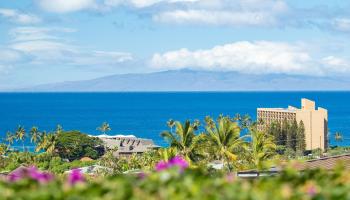 Papali Wailea condo # 1, Kihei, Hawaii - photo 6 of 50