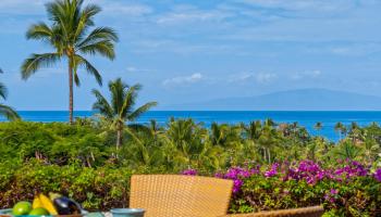 Papali Wailea condo # 17, Kihei, Hawaii - photo 5 of 49