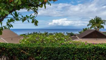 Papali Wailea condo # 5, Kihei, Hawaii - photo 2 of 48