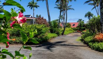 311  Door Of Faith Rd Huelo, Haiku home - photo 6 of 50