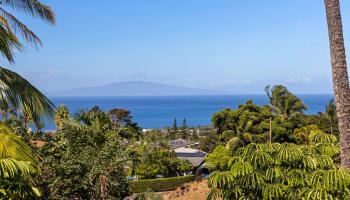3124  Nahenahe Pl , Maui Meadows home - photo 3 of 48