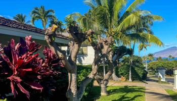 3125  Kikihi St , Wailea/Makena home - photo 2 of 11