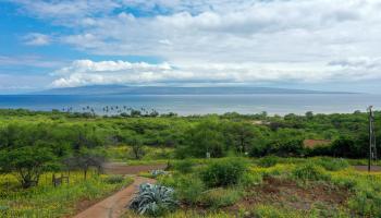 315  Onioni Dr , Molokai home - photo 2 of 25