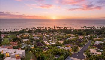 3150  Waiea Pl Wailea Kai, Wailea/Makena home - photo 4 of 50