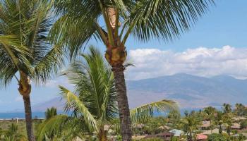 Wailea Palms condo # 3602, Kihei, Hawaii - photo 2 of 30