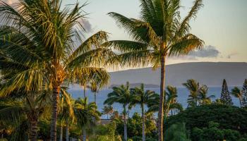 Wailea Palms condo # 2706, Kihei, Hawaii - photo 4 of 30