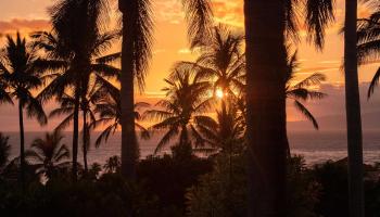 Wailea Palms condo # 3201, Kihei, Hawaii - photo 1 of 31