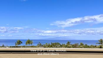 3187  Nahenahe Pl Maui Meadows, Maui Meadows home - photo 5 of 50