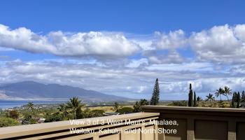 3187  Nahenahe Pl Maui Meadows, Maui Meadows home - photo 6 of 50