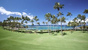 Coconut Grove condo # 32, Lahaina, Hawaii - photo 3 of 47