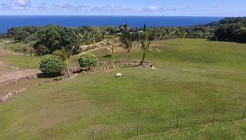 320 Hanauana Rd Haiku, Hi 96708 vacant land - photo 2 of 30 320 Hanauana Rd Haiku, Hi 96708 vacant land - photo 2 of 30