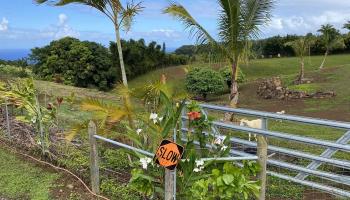 320 Hanauana Rd Haiku, Hi 96708 vacant land - photo 5 of 30