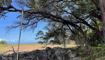 320 Seaside Pl  Kaunakakai, Hi vacant land for sale - photo 2 of 20