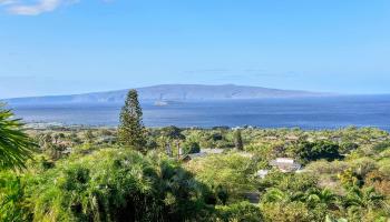 3220  Waileia Pl Maui Meadows, Maui Meadows home - photo 3 of 46